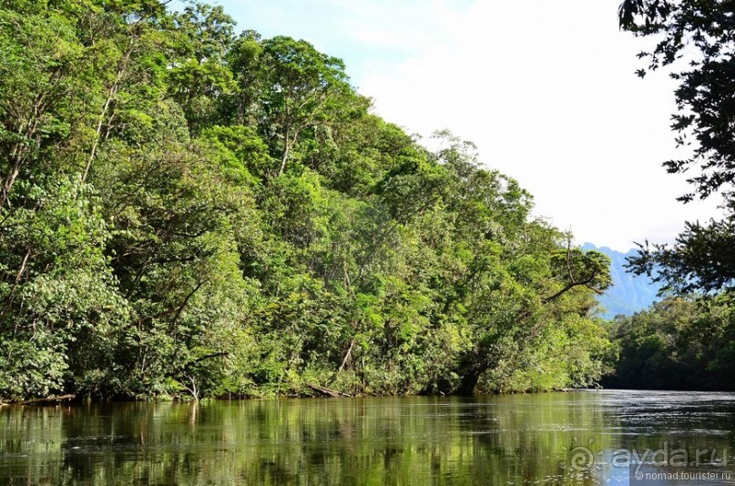 Американские горки (декабрь 2012-январь 2013) Часть 1