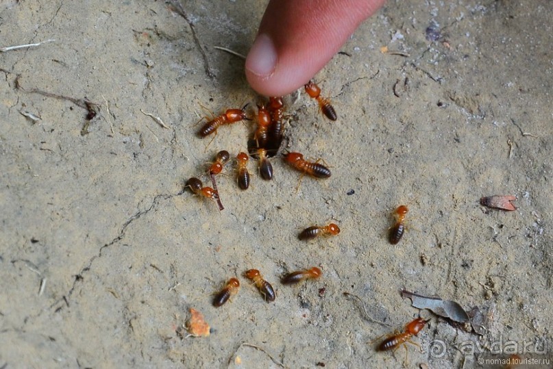 Американские горки (декабрь 2012-январь 2013) Часть 1