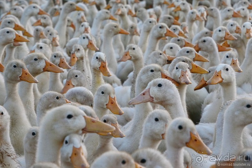 Азиатский квест, или поди туда, не знаю куда. Часть 2