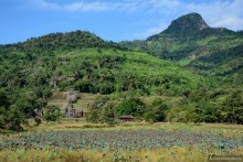 Азиатский квест, или поди туда, не знаю куда. Часть 2