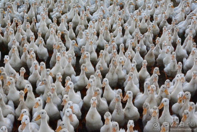 Азиатский квест, или поди туда, не знаю куда. Часть 2