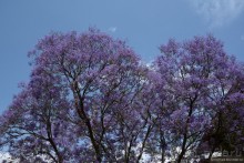 Затерянные Гималаи, Непал-Бутан. Часть 10