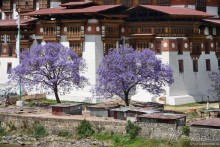 Затерянные Гималаи, Непал-Бутан. Часть 10