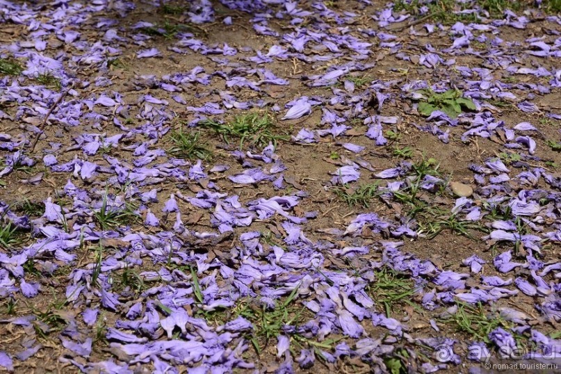 Затерянные Гималаи, Непал-Бутан. Часть 10