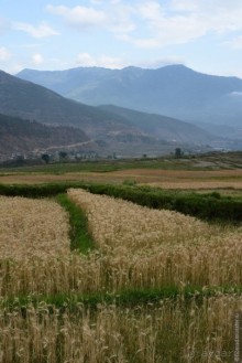 Затерянные Гималаи, Непал-Бутан. Часть 10