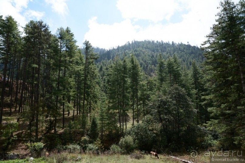 Затерянные Гималаи, Непал-Бутан. Часть 10