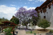 Затерянные Гималаи, Непал-Бутан. Часть 10