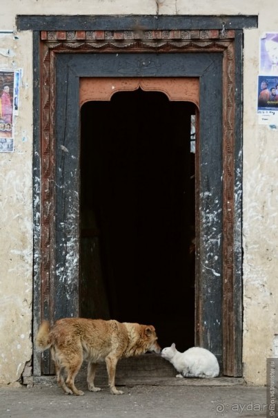 Затерянные Гималаи, Непал-Бутан. Часть 10