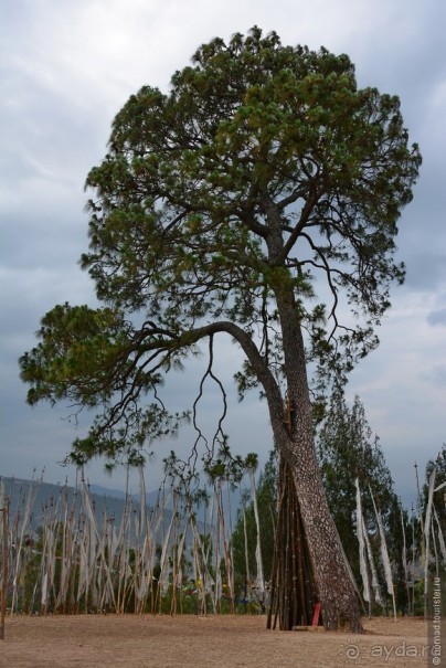 Затерянные Гималаи, Непал-Бутан. Часть 10