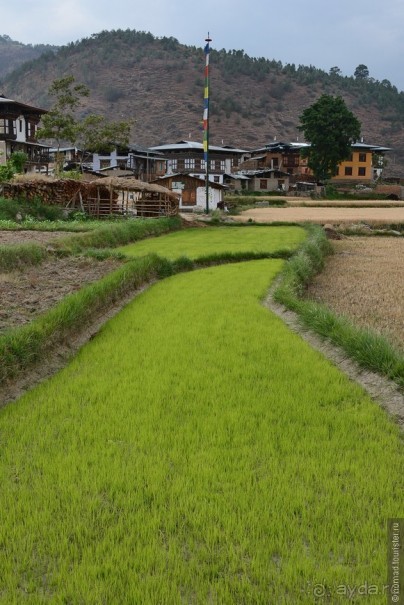 Затерянные Гималаи, Непал-Бутан. Часть 10