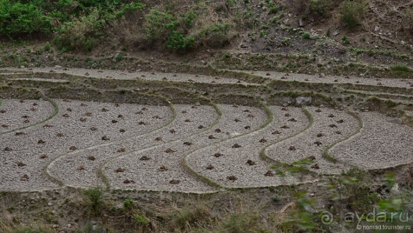 Затерянные Гималаи, Непал-Бутан. Часть 10