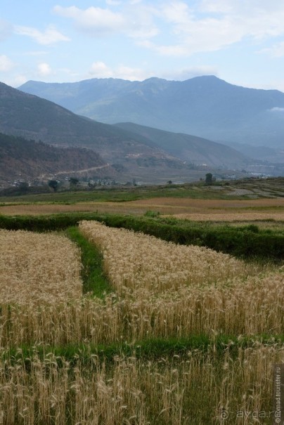 Затерянные Гималаи, Непал-Бутан. Часть 10