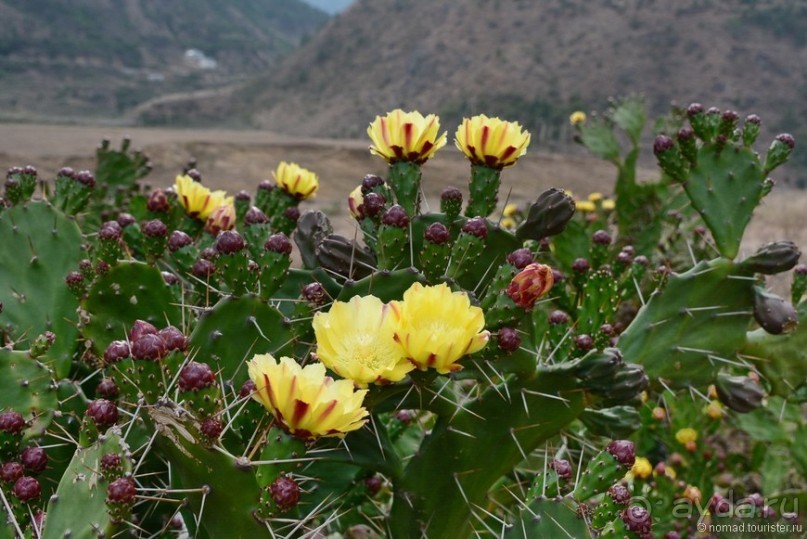 Затерянные Гималаи, Непал-Бутан. Часть 10