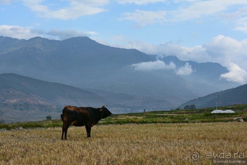 Затерянные Гималаи, Непал-Бутан. Часть 10