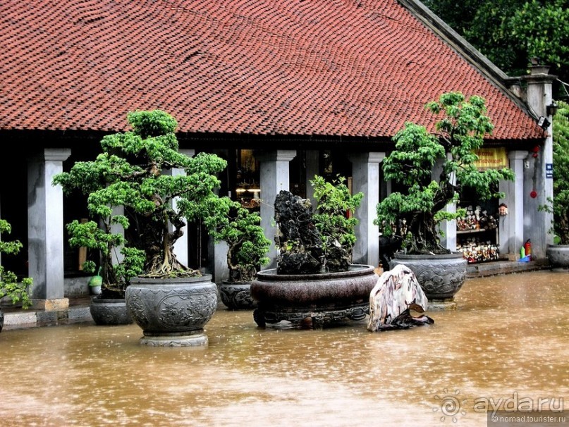 Изрядно подмоченный отчет по Вьетнаму. Часть 1