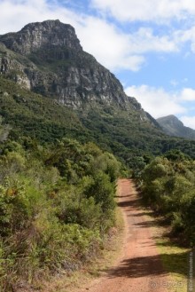 Кирстенбошские чудеса