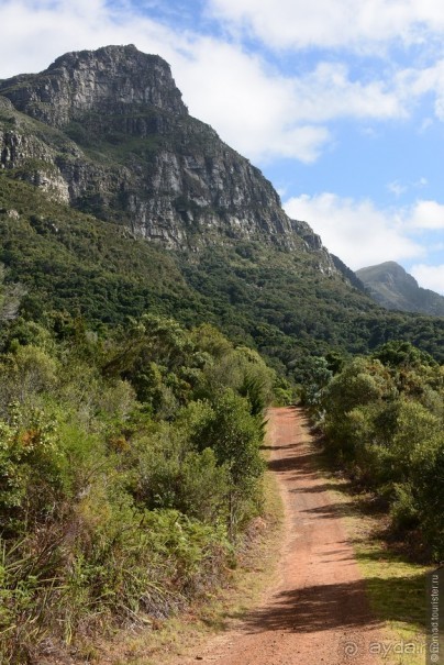 Кирстенбошские чудеса