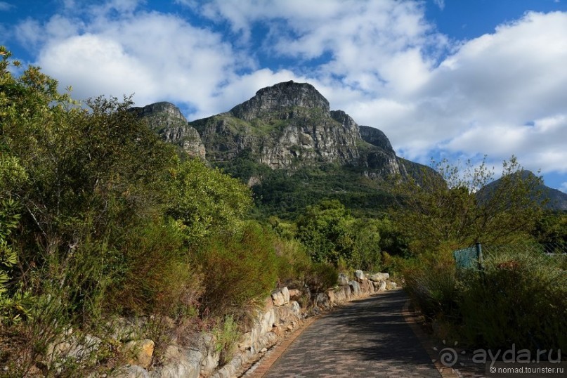 Кирстенбошские чудеса