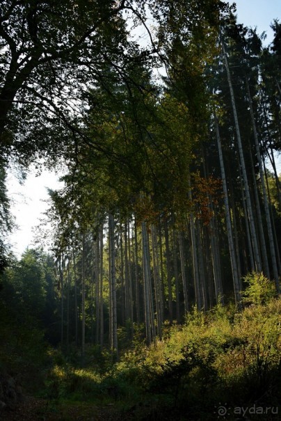 Локет-городок, ни низок, ни высок...