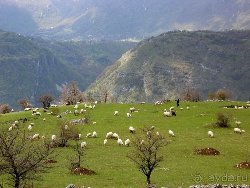 Черногорские хроники. Возвращение. Часть 2