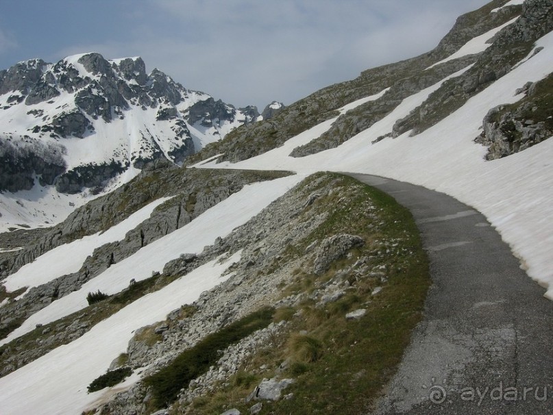 Черногорские хроники. Возвращение. Часть 2