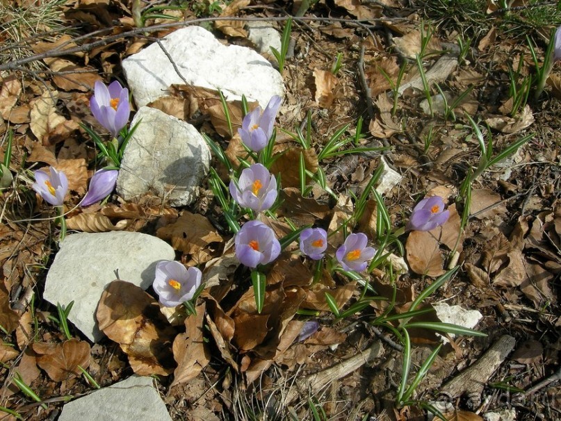 Черногорские хроники. Возвращение. Часть 2