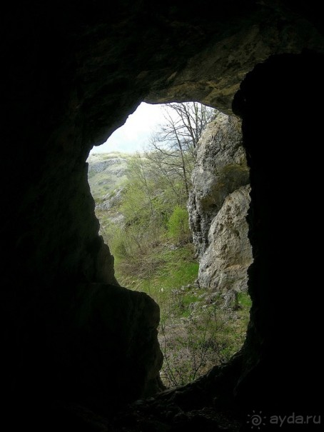 Черногорские хроники. Возвращение. Часть 2