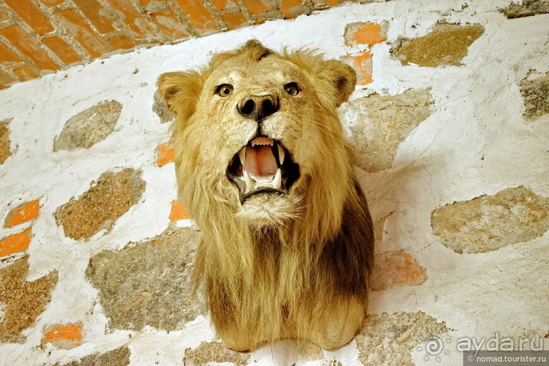 Солнечный Тракай