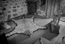 Солнечный Тракай