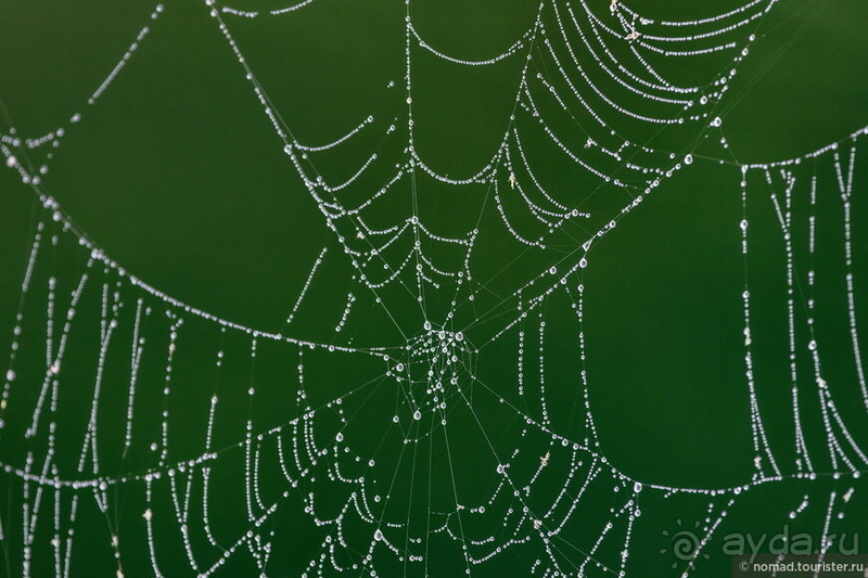 Солнечный Тракай