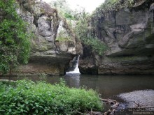 Акуна матата, или даешь сафари! Часть 2