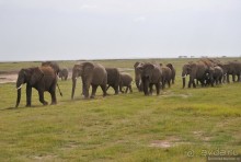 Акуна матата, или даешь сафари! Часть 2