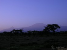 Акуна матата, или даешь сафари! Часть 2