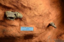 Скандинавские сказки. Стокгольм. Часть 4