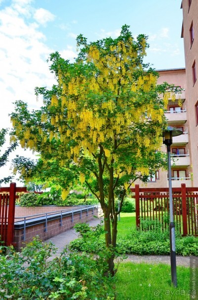 Скандинавские сказки. Стокгольм. Часть 4