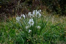 Балканское кольцо. Часть 13, последняя