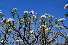 Неизвестный Таиланд. Пхетчабури