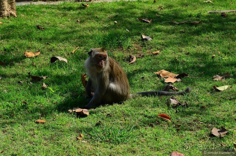 Неизвестный Таиланд. Пхетчабури