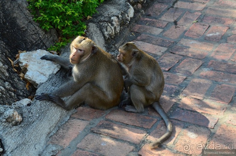 Неизвестный Таиланд. Пхетчабури