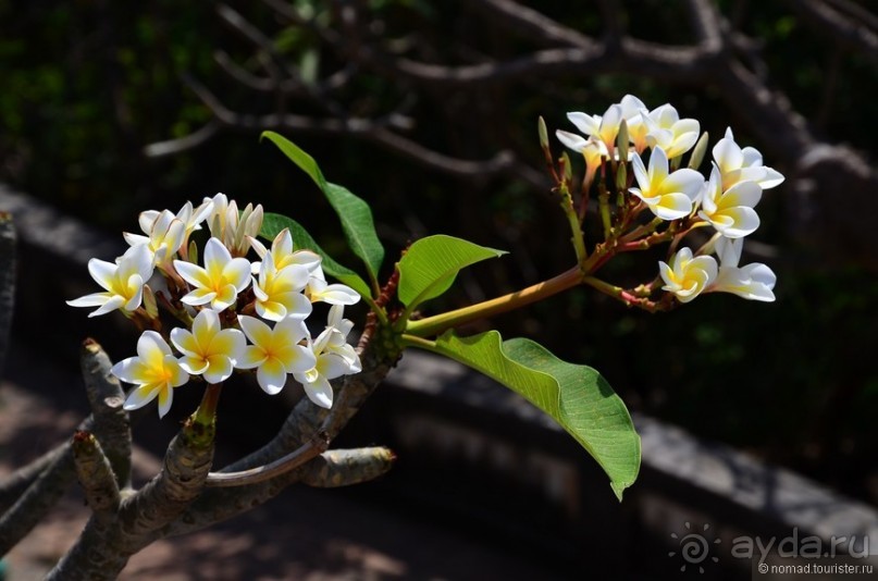 Неизвестный Таиланд. Пхетчабури