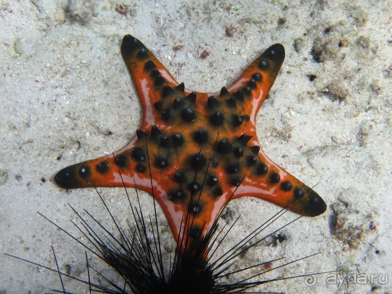 По филиппинским городам и весям. Часть 2