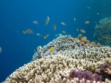 По филиппинским городам и весям. Часть 2