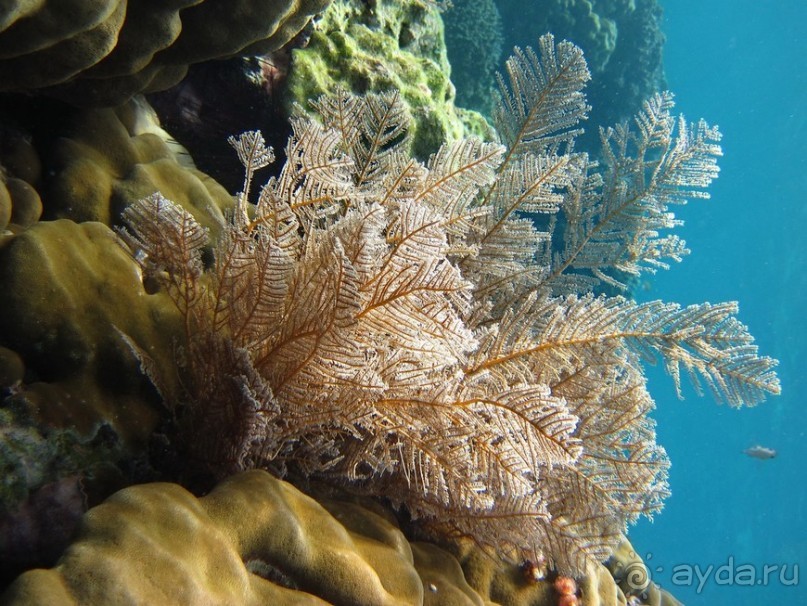 По филиппинским городам и весям. Часть 2