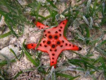 По филиппинским городам и весям. Часть 2