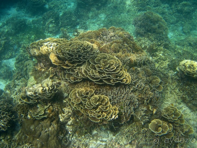 По филиппинским городам и весям. Часть 2