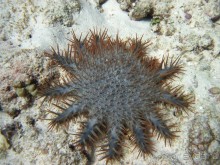 По филиппинским городам и весям. Часть 2