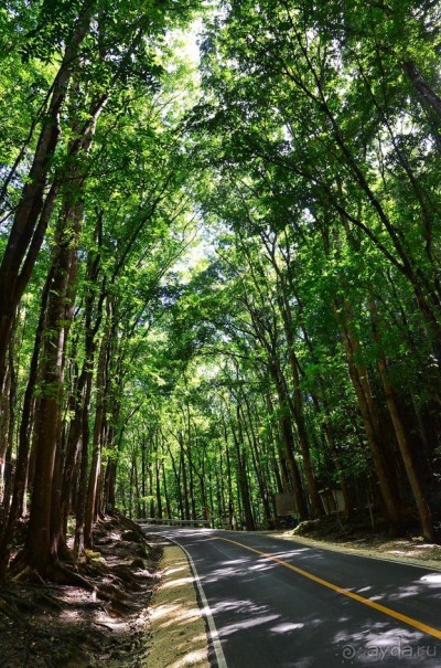 По филиппинским городам и весям. Часть 2
