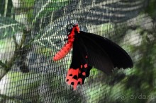 По филиппинским городам и весям. Часть 2