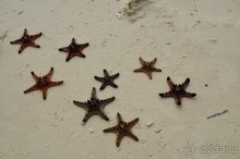 По филиппинским городам и весям. Часть 2