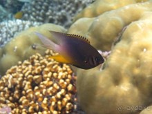 По филиппинским городам и весям. Часть 2